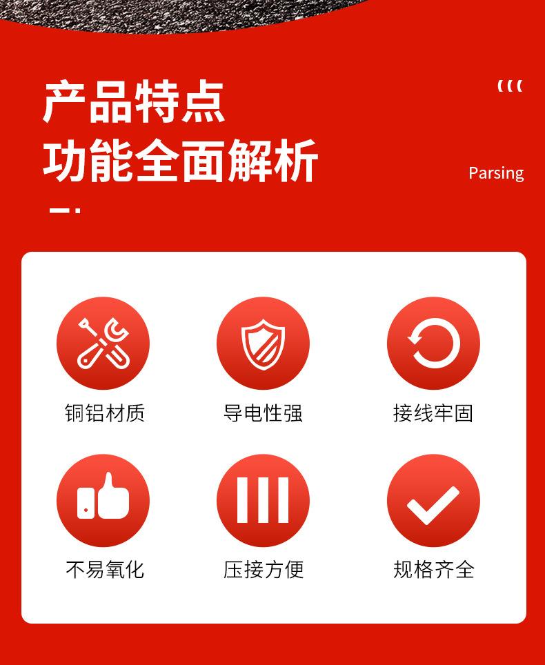 3.DTLC铜铝插针_02.jpg