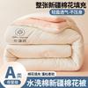 Edredón Engrosado de Algodón de Xinjiang para Calidez en Invierno, Edredón para Dormitorio de Estudiantes, Núcleo de Edredón para Primavera y Otoño, Edredón Individual de Aire Acondicionado, Compra Grupal y Entrega