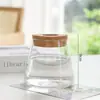 Vaso de Vidro Hidropônico Transparente Minimalista Criativo para Cultivo de Plantas Verdes Como Jiboia, Osmanthus e Pinheiro Arhat