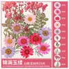 Paquete de Materiales DIY de Flores Secas Flores Prensadas Hechas a Mano Flores Conservadas Marcadores de Libros de Flores Prensadas Hojas de Árbol Real Plantas Pegatinas de Resina Maquillaje Facial