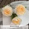 Flores Artificiales Color Champán para Bodas al Aire Libre, Decoraciones de Fondo de Boda, Adornos para Sala de Estar en Casa, de Alta Gama y Realistas