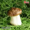 Modelo de Hongo Hongo Silvestre de Yunnan Espécimen Falso Adorno Decoración Escena Montaje Accesorios para Disparar Matsutake