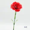 Cravos de seda artificial, variedade de haste longa de haste única, variedade de haste curta, ideais para o Dia das Mães, decoração de casa e arranjos de mesa.. Flores artificiais altamente recomendadas