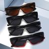 2026 Nuevo Modelo Gafas de Sol Polarizadas Fotográficas Moda Gato Ojo Marco Delgado para Mujer Simples Protección Solar para Viaje Venta al por Mayor