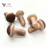 Cogumelos artificiais, cogumelos ostra, cogumelos shiitake, cogumelos de espuma, cogumelos de palha coloridos simulados vintage, adereços para fotografia, acessórios de decoração para vitrines