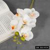 Advanced sense Phalaenopsis flor artificial casa casamento flor falsa atacado alta qualidade sensação molhada 5 cabeça Phalaenopsis flor artificial