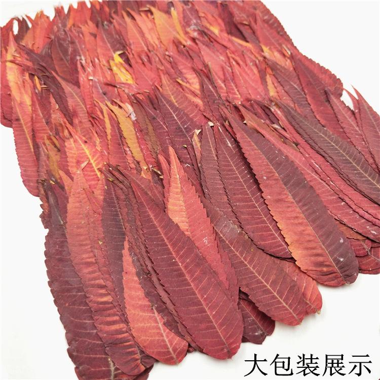 IMG20190623133817.jpg