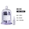 Xiaohongshu Dropshipping Fragancia Regalo Adornos Regalos para Dormitorio Aromaterapia sin Llama Aceite Esencial Difusor de Piedra de Cristal