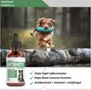 Antibiótico Natural para Cães