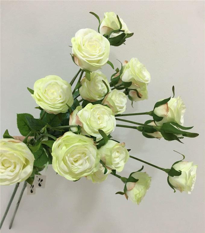 骑士抹月玫瑰 (3)