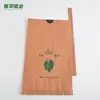 Atacado do Fabricante Impermeável Camada Dupla Bolsa para Cultivo de Frutas Manga Conjunto Saco de Papel para Frutas à Prova de Luz Jardinagem Bolsa para Cultivo de Frutas Manga Outros