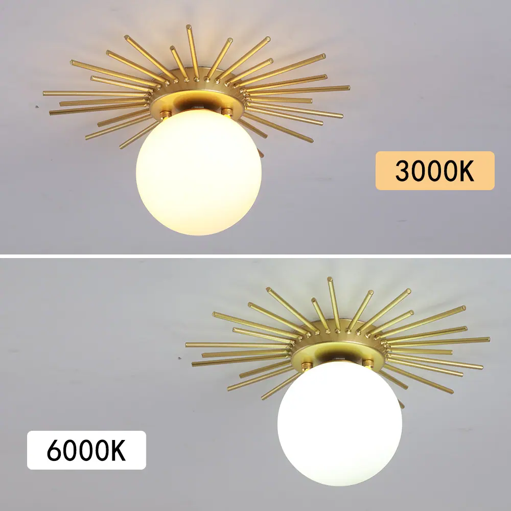 00000.jpg