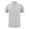 Camiseta gola lapela cor sólida logo workwear camisa polo grupo corporativo publicidade camisa cultural t-shirt workwear manga curta