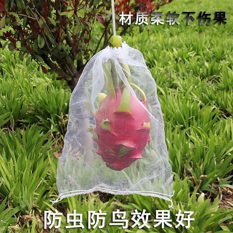 详情图10
