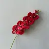 Fita Adesiva 3D Nove Cabeças Orquídea Phalaenopsis Decoração de Casamento Flor Artificial Planta em Vaso para Sala de Estar Flor Artificial Decoração de Recepção de Hotel Orquídea Phalaenopsis