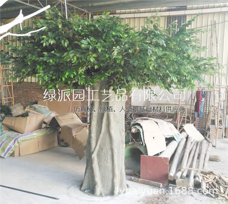 榕树054.jpg
