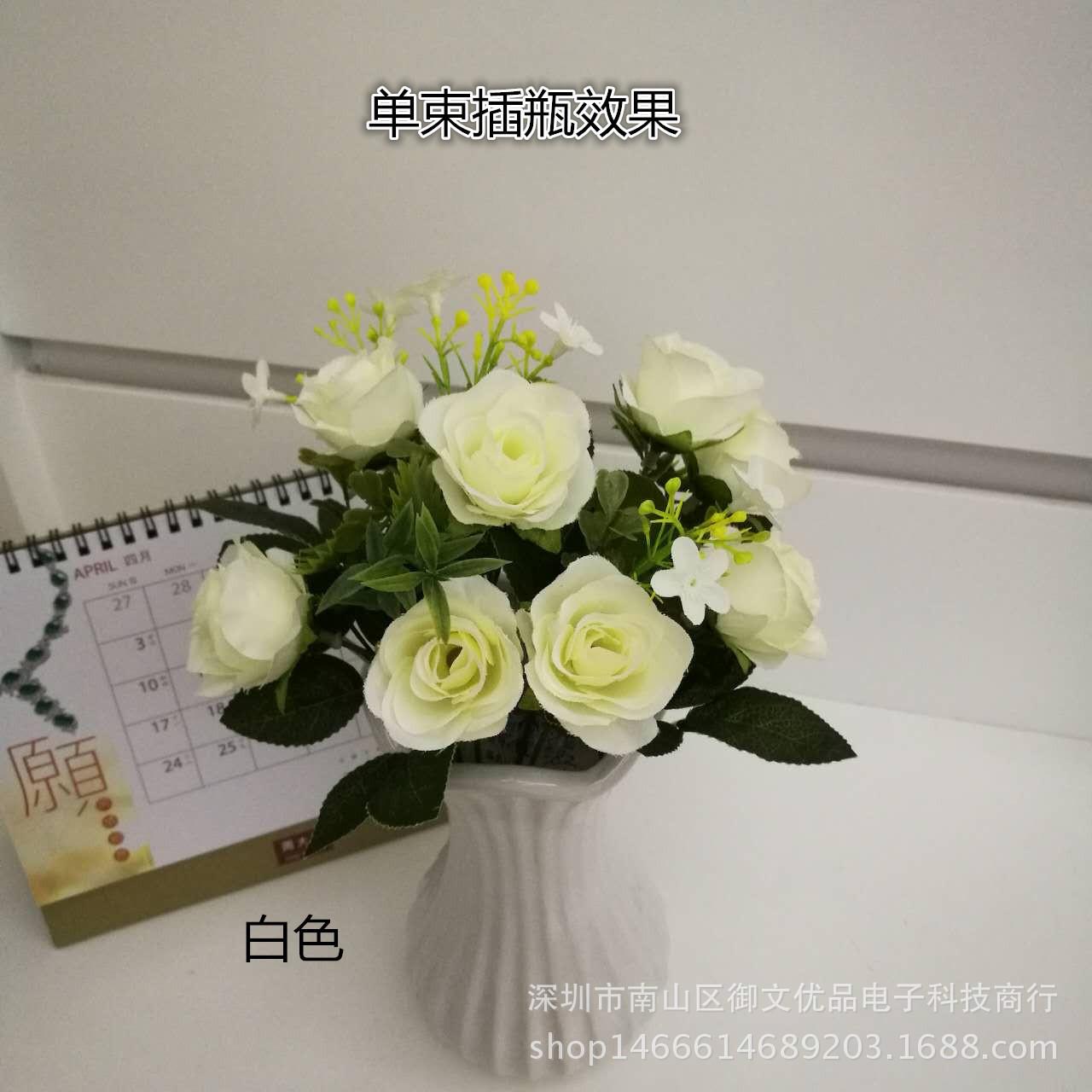 10头天仙玫瑰 白色1_副本