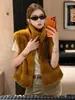 Chaleco Chaqueta de Piel Sintética Estilo Coreano de Visón con Cuello Alto sin Mangas para Mujer 2026 Otoño Nuevo Estilo Moda Ropa de Abrigo Chaleco de Moda