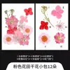 Marcador de Flores Secas flor hecho a mano material diy botella de los deseos hojas transparentes infantiles flores y plantas espécimen sello de plástico para mascotas