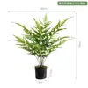 Plantas Samambaia Simuladas, Folhagem Artificial, Arranjos de Flores para Interior, Plantas Decorativas, Micro-Paisagens de Plástico
