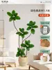 Plantas Verdes Artificiais de Alta Qualidade para Decoração de Sala de Estar, Planta Realista Falsa de Figueira-da-Índia Preta para Decoração de Sala de Transmissão ao Vivo