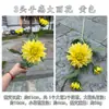 Nuevo Toque Hidratante Flor Artificial Fabricante Dalia Táctil de 3 Cabezas Peonía Amarilla Boda Decoración Suave Decoración del Hogar