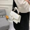 2022 Nuevo Bolso de Mujer Moda Trendy Bolso Cruzado de Mujer Bolso Pequeño de Mujer Bolso de Hombro Casual Simple Cierre de Marco Oblicuo Bolso Cuadrado Pequeño