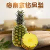 Piña Diamante Dorado de Hainan Dropshipping 3/5/9 Jin Regalo Caja de Colores Caja de Regalo Fruta Fresca Piña Fruta Fresca de Temporada