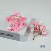 Kit de Materiais para Headdress de Flor de Hortênsia em Cores de Outono para Pintura a Óleo, 16 Peças, Acessórios para Grampo de Cabelo, Venda Quente Transfronteiriça, Kit de Material DIY, Decoração de Caixa de Presente