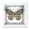 Espécime de Borboleta Real Decoração de Casa DIY Moldura de Madeira para Fotos Suprimentos de Pintura Decorativa Avançada Presente Moderno Presente Criativo