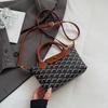 Bolso Casual para Viajero Mujer Nueva Tendencia de Moda Diseño de Nicho Bolso de Hombro Estilo Coreano Bolso Cruzado Versátil de Gama Alta