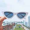 Óculos de Sol Triangulares Novos Europeus e Americanos Tendência para Mulheres Celebridade da Internet Mesmo Estilo Óculos de Sol Olho de Gato Óculos Transparentes Peça do Mar