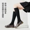 Calcetines de pantorrilla de color liso estilo universitario para mujer, perfectos para otoño e invierno, estilizan y son versátiles, diseño simple, combinan bien con zapatos pequeños de cuero, calcetines largos de algodón