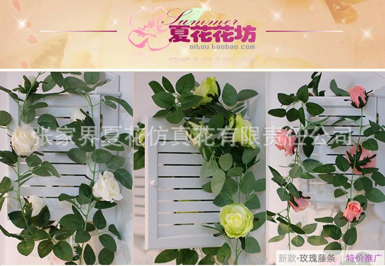 3头豆花紫藤_01.jpg