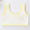 Ropa interior para niñas, período de desarrollo, chaleco para niñas grandes, para estudiantes de primaria, sujetador de algodón puro para niñas adolescentes.