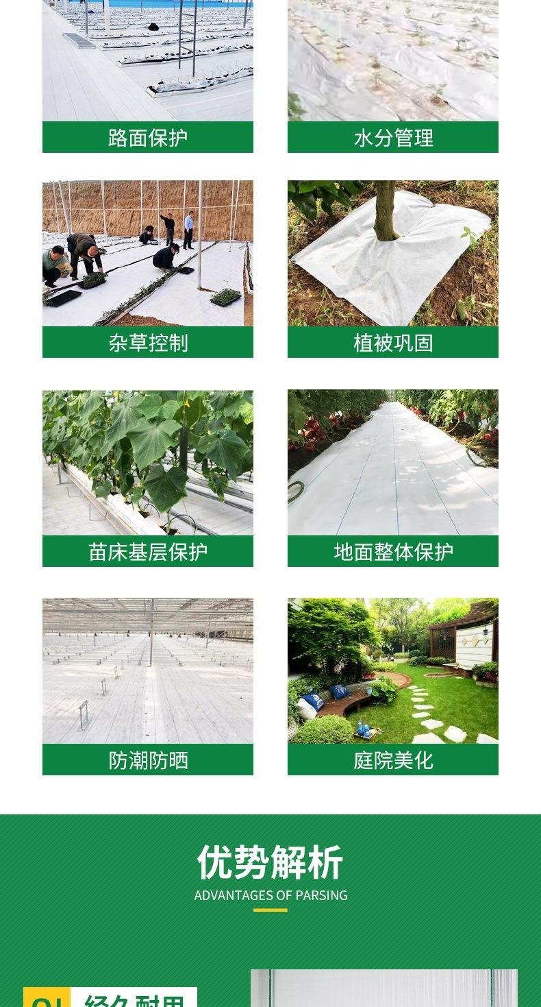 白色防草布详情(1)_003.jpg