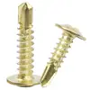 Tornillos Autorroscantes Redondos de Acero Inoxidable 304/410 Color Dorado con Cabeza Phillips y Cabeza Plana M4.8