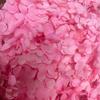 Hortensia Anna Inmortal por Gramo Flores Frescas Cubierta de Vidrio Material Floral Material de Flor Acrílica Marco de Fotos DIY