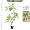 Nuevo Producto Luz para Plantas Grandes Verdes de Bambú Nantian Lujo Ligero Sala de Estar Interior Planta Biónica Maceta Decorativa de Pie