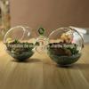 Vaso criativo estilo europeu para suculentas, dispositivo duplo de cultivo de flores em formato de bola, decoração criativa para plantas em cultivo de água, decoração de casa em vidro