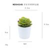Set de Bonsái de Suculentas de Plástico Mini en Stock, Suculenta Artificial Creativa de Amazon, Flor Artificial Transfronteriza Planta en Maceta Pequeña