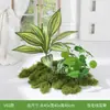 Plantas Artificiais, Folhagem Simulada para Paisagismo, Decoração de Paisagem Interna e Externa, Vitrines, Arte Floral Artificial, Arranjos de Musgo, Capim-do-viajante