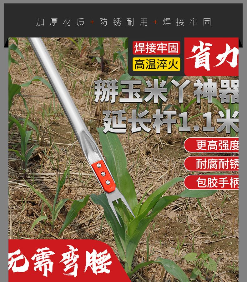 详情_05.jpg