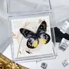 Foto de Espécime de Borboleta Real Porta-Retrato Caixa Transparente Ornamentos Estéreo Presente Ensino de Jardim de Infância Criativo Artesanal Adereços para Fotos