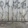 Madera en bruto, ramas secas, ramas marchitas, materiales para arreglos florales, materiales de paisajismo, mobiliario suave, decoraciones de techo creativas para interiores, jarrones para arreglos florales y adornos de madera seca