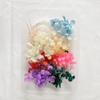 Flor Eterna Bolsa de Material de Flor Seca DIY Marco de Fotos Grupo de Pegatinas Abanico Grupo Flotante Actividad de Construcción Clase de Arte Floral Material de Hortensia