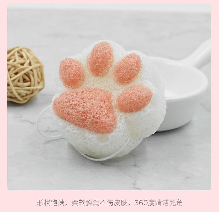 猫爪详情6