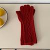 Guantes Trenzados de Terciopelo Ártico Estilo Coreano Color Puro Calentadores de Dedos Engrosados para Estudiantes Parejas Ciclismo Protección Invernal Contra el Frío