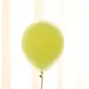 Globos Macaron de Doble Capa de 10 Pulgadas al por Mayor Transfronterizos Látex Engrosado Color Caramelo Set de Globos para Decoración de Fiesta