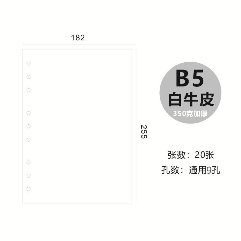 6孔B5白卡